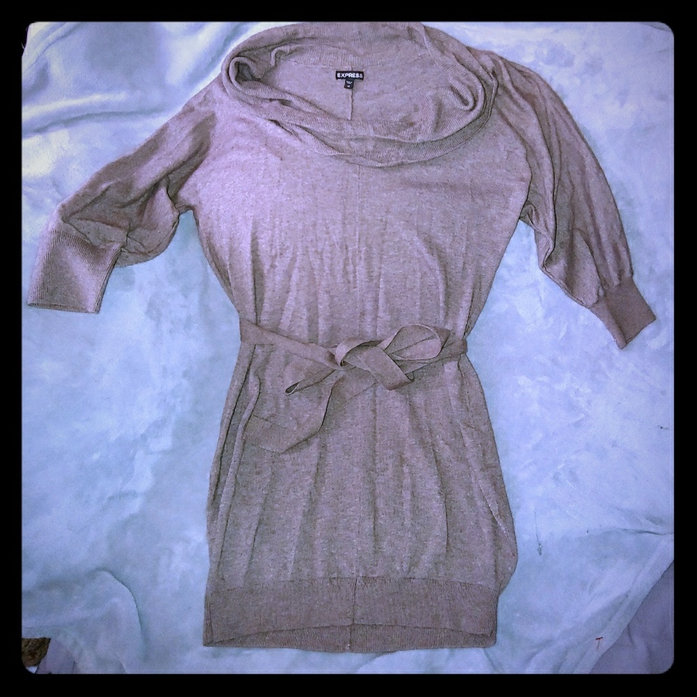 Express sweater dress